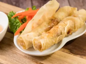 Plate of crispy vegetable- spring rolls