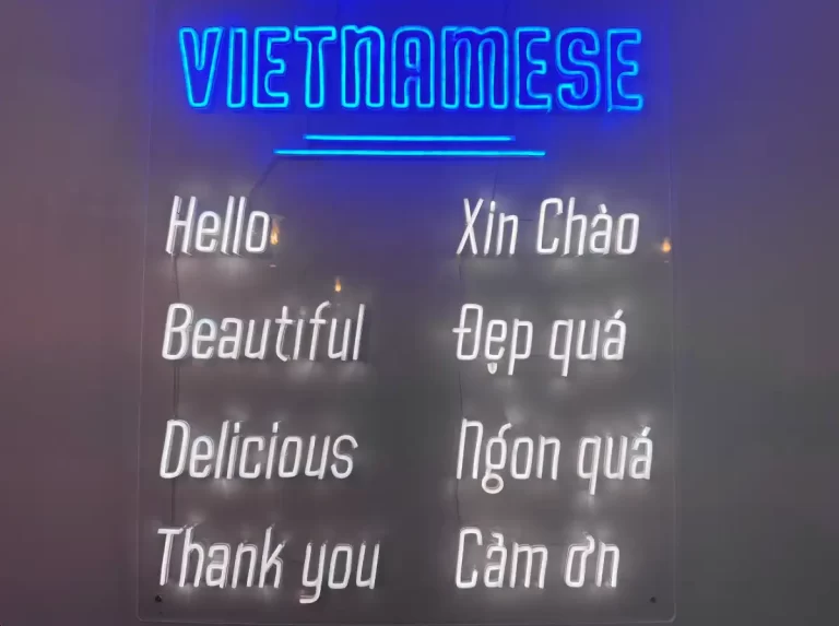 Learn Vietnamese neon sign